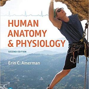 Human Anatomy & Physiology 2nd Edition Erin C. Amerman Test Bank