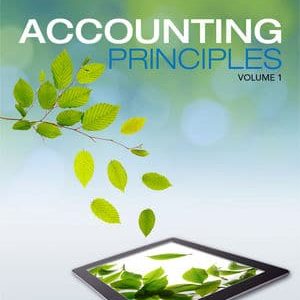 Accounting Principles Volume 1 7th Canadian Edition Weygandt Kieso Kimmel Trenholm Warren Novak Test Bank.jpg