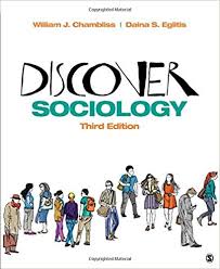 Discover Sociology 3rd Edition By William J. Chambliss Daina S. Eglitis Sage Publisher .jpg