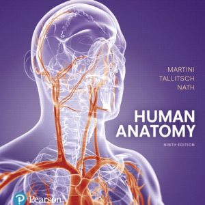 Human Anatomy 9e Frederic H. Martini Robert B. Tallitsch Judi L. Nath Instructor Solution Manual.jpg