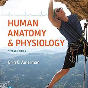 Human Anatomy Physiology 2nd Edition Erin C. Amerman Test Bank .jpg