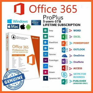 Office 365.jpg