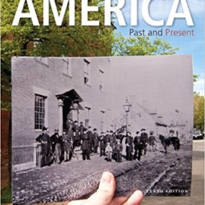 America Past And Present Volume 1 10th Edition Robert A. Divinet. H. Breenariela J. Grossh. W. Brands Tb.jpg