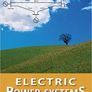 Electric Power Systems A First Course Mohan Solution Manual.jpg