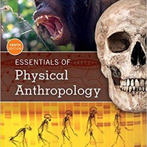 Essentials Of Physical Anthropology 10th Edition Robert Jurmain Lynn Kilgore Wenda Trevathan Eric Bartelink Test Bank.jpg