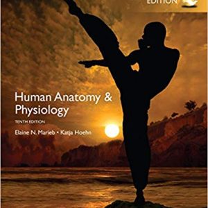 Human Anatomy Physiology Global Edition 10e Elaine N. Marieb Katja N. Hoehn Test Bank.jpg