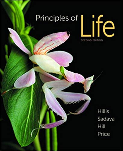 Principles Of Life 2nd Edition By David M. Hillis David E. Sadava W. Hill V. Price Test Bank Freeman Publisher .jpg